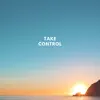 DJ Spiral Official - Take Control - Single