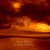 Tamer ElDerini - ElKebr (feat. Wael El Fashny) - Single